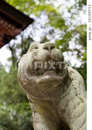 鞍馬寺の狛犬・阿吽の虎 鞍馬寺の狛犬・阿吽の虎 16100553