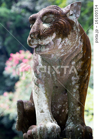 鞍馬寺の狛犬 阿吽の虎の写真素材