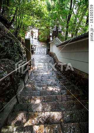 夏の鞍馬寺・奥の院参道の石段 夏の鞍馬寺・奥の院参道の石段 16100559