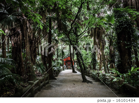 青島神社 青島神社 16101434