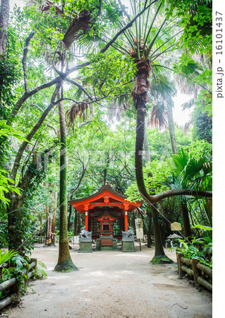 青島神社 16101437