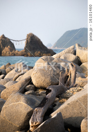 パワースポット 二見が浦の夫婦岩 パワースポット 二見が浦の夫婦岩 16101460