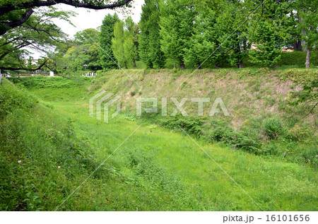 水戸城 三の丸空堀 水戸城 三の丸空堀 16101656