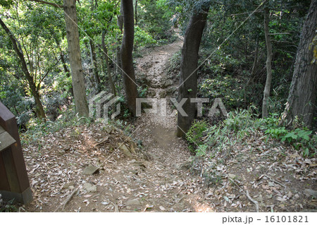 津久井城　堀切 16101821