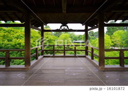 京都　東福寺　通天橋　新緑 16101872