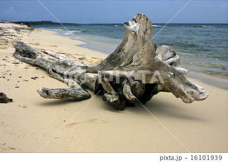 beach rock and stone cabin   16101939