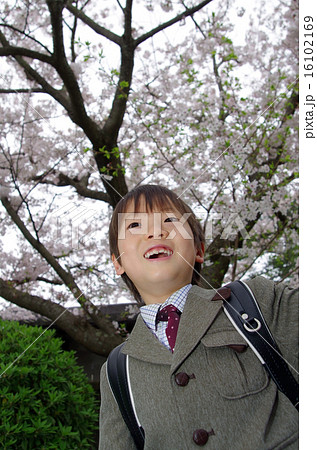小学生と桜（入学イメージ） 16102169