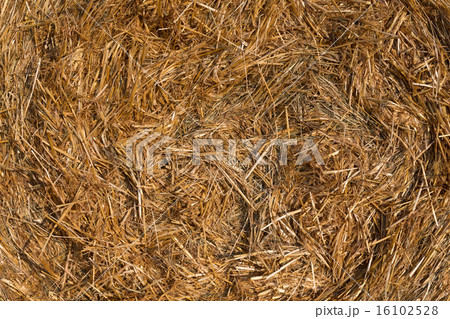 Piled hay bales on a field against blue sky Piled hay bales on a field against blue sky 16102528