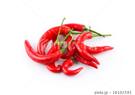 chili pepper chili pepper 16102591
