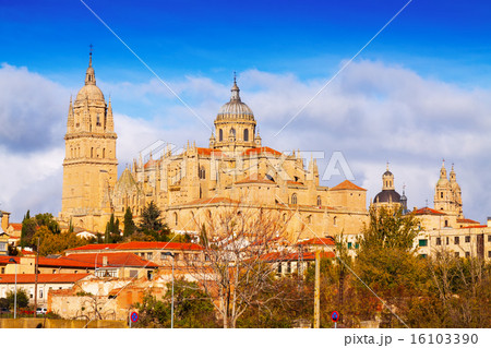 Cathedral of Salamanca in autumn 16103390