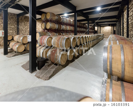 wooden barrels in winery wooden barrels in winery 16103391