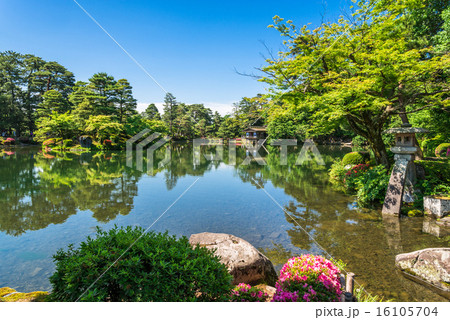 金沢　兼六園　徽軫灯籠と霞ヶ池  16105704