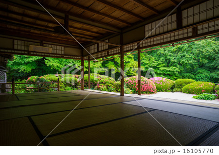 京都 詩仙堂 日本庭園 京都 詩仙堂 日本庭園 16105770