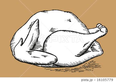 Thanksgiving turkey 16105779