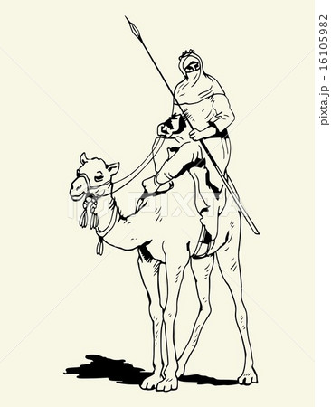 Tuareg camel rider 16105982