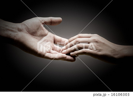Solidarity Solidarity 16106303