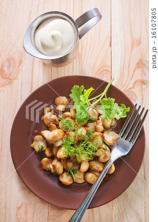 fried mushrooms fried mushrooms 16107805