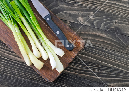 green onion 16108349