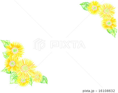 ヒマワリ ひまわり 向日葵 植物 真夏 夏 夏の風物詩 花 黄色 元気 満開 のイラスト素材