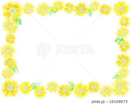 ヒマワリ ひまわり 向日葵 植物 真夏 夏 夏の風物詩 花 黄色 元気 満開 のイラスト素材
