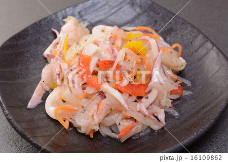 おいしいイカのマリネ 16109862