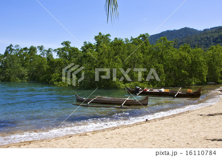 madagascar nosy be rock stone branch   16110784