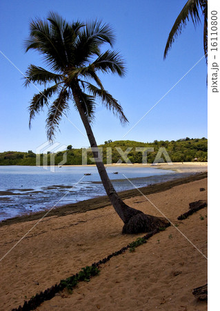 nosy be boat palm and coastline 16110800