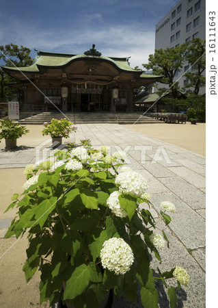 坐摩神社境内 16111643