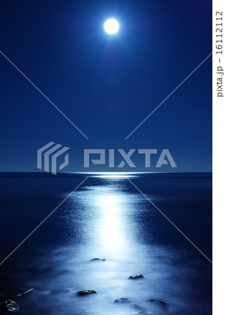 月光 月光 16112112