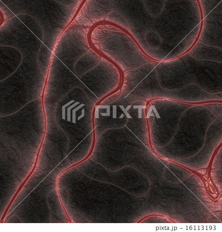 Worms generated texture Worms generated texture 16113193