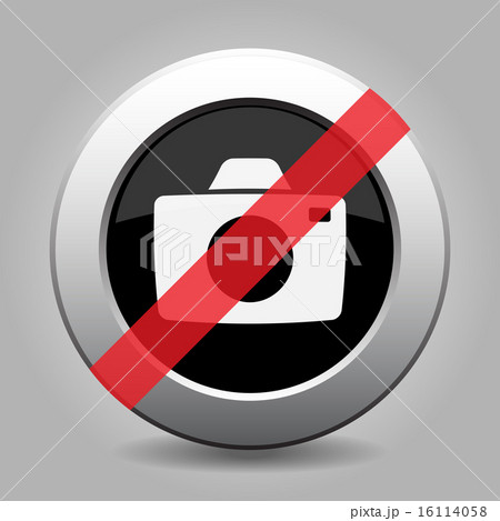 grey chrome button - no camera 16114058