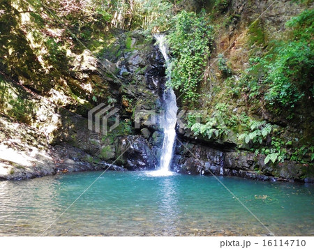 鮎返しの滝 鮎返しの滝 16114710