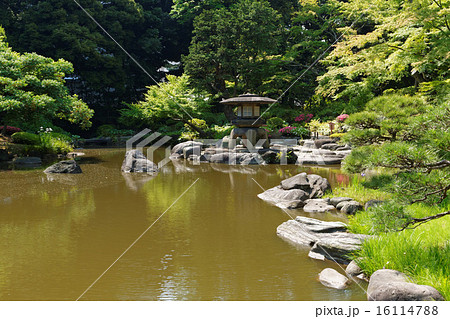 水辺の若葉に新緑と石燈籠 16114788