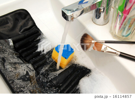 Purifying brushes case 16114857