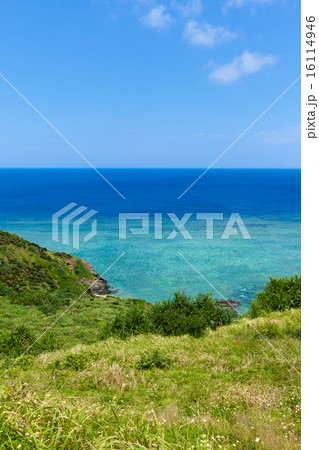 平久保崎 平久保崎 16114946