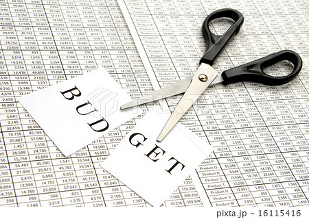 ビジネスイメージ―予算削減 ビジネスイメージ―予算削減 16115416