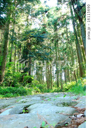 東海道金谷坂 16115690