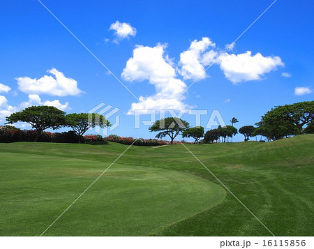 カポレイゴルフクラブ 16115856