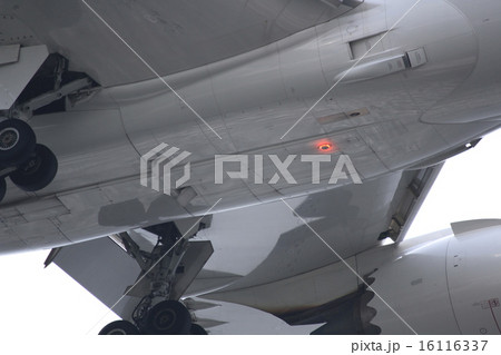 ドリームライナーのおなか 16116337