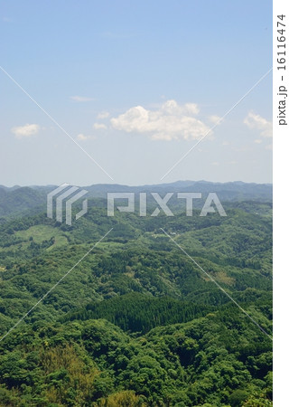 高台からの眺め 高台からの眺め 16116474