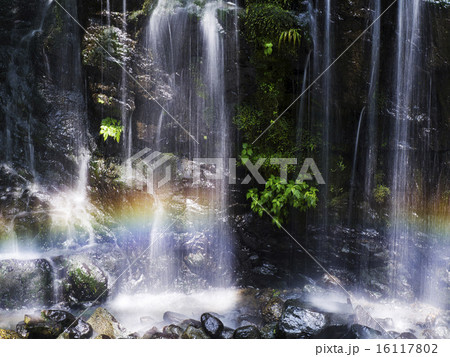 虹がかかる滝 16117802