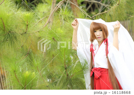 Japanese Women in Traditional Dress Miko Japanese Women in Traditional Dress Miko 16118668