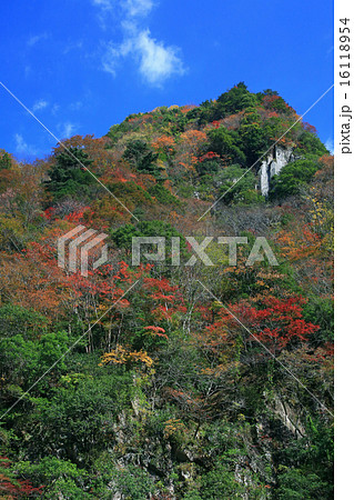 香落渓　　紅葉　三重県 16118954