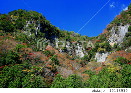 香落渓 紅葉 三重県 香落渓 紅葉 三重県 16118956