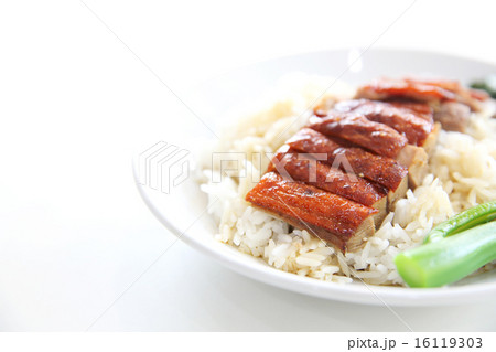 roast duck over rice roast duck over rice 16119303