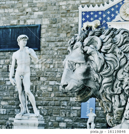 Replica of the David by Michelangelo in Florence, Italy 16119846
