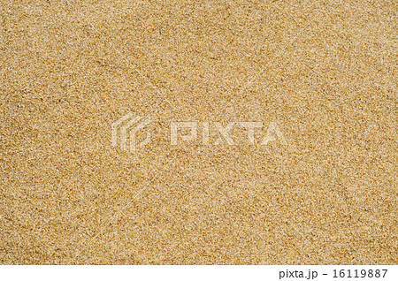 sand of a beach or a desert or a sandpit 16119887