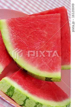watermelon 16120049