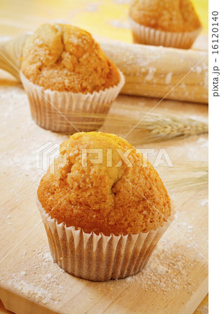 magdalenas, typical spanish plain muffins 16120140
