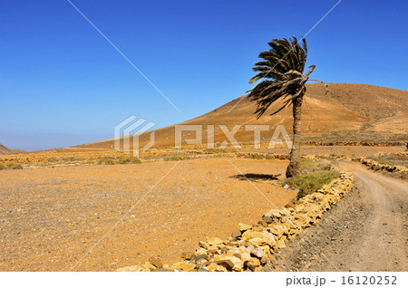 Tindaya Mountain in La Oliva, Fuerteventura, Canary Islands, Spa Tindaya Mountain in La Oliva, Fuerteventura, Canary Islands, Spa 16120252